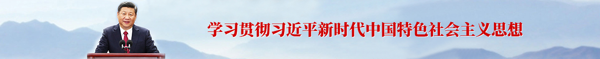 学习贯彻习近平新时代中国特色社会主义思想